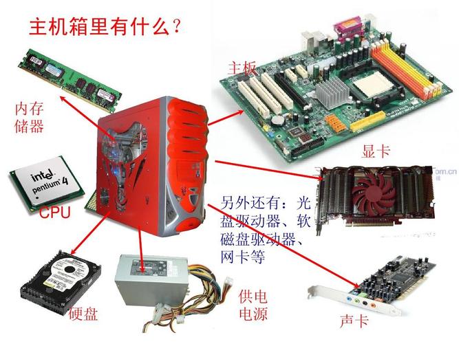 初中信息技术教育教案